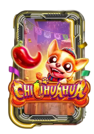 Chi ihuahua